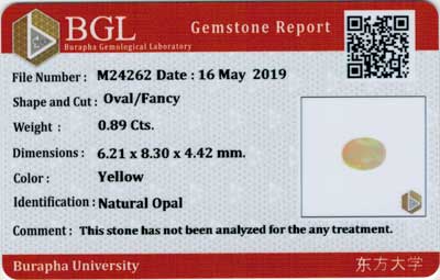 Gem Report