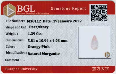 Gem Report