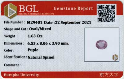 Gem Report
