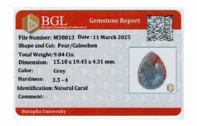 Gem Report