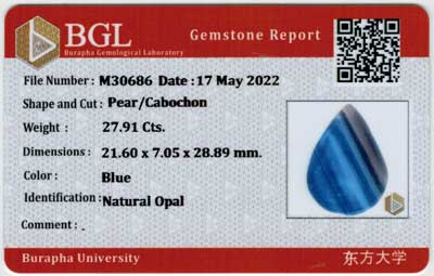 Gem Report