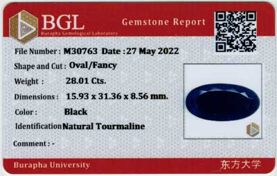 Gem Report