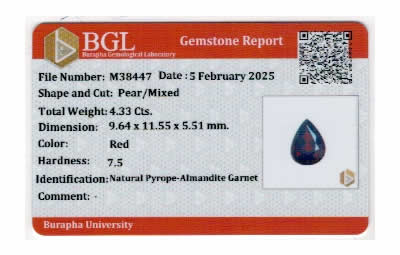 Gem Report