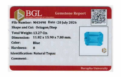 Gem Report