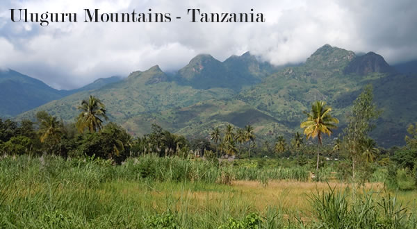 坦桑尼亚乌卢古鲁山脉的照片