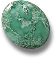 澳大利亚 Variscite Cabochon