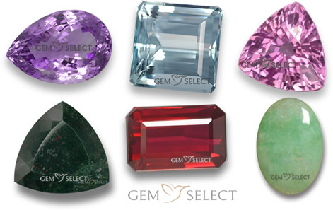 来自 GemSelect 的双鱼座十二生肖宝石 - 中图