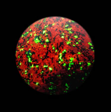 紫外光下的荧光方解石（红色）和硅锌矿（绿色）球体
