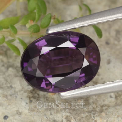 来自 GemSelect 的紫色尖晶石