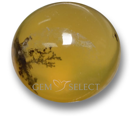 GemSelect 的苔藓蛋白石宝石 - 大图像