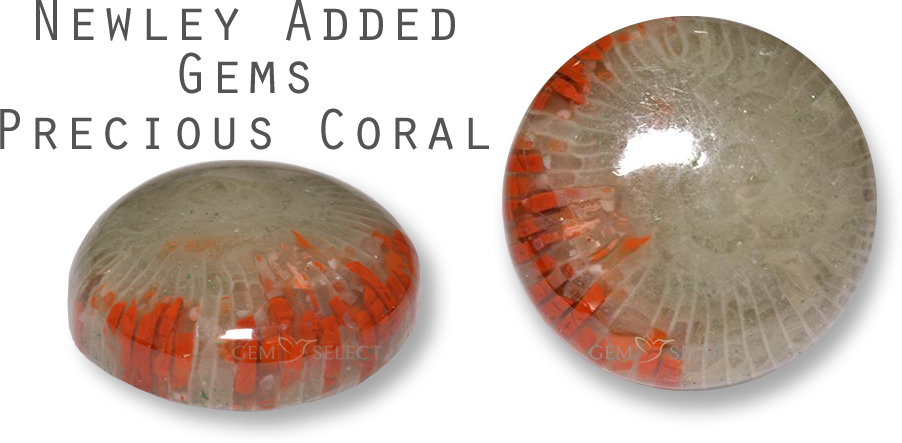 来自 GemSelect 的珍贵珊瑚宝石