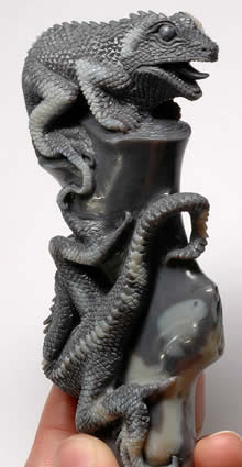 雕刻蛋白石鬣蜥