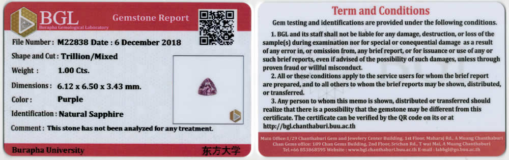 BGL简要鉴定报告