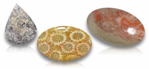 珊瑚宝石