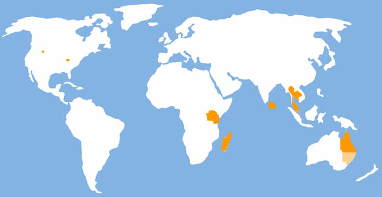 蓝宝石采矿地图
