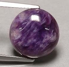Charoite 凸圆形宝石