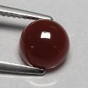 沙德凸圆形 Sard Cabochon