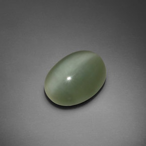 7.66克拉天然绿色Actinolite Cat's Eye，椭圆形切割，15.2×11.7毫米，透明