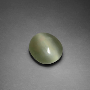 2.33克拉天然绿色Actinolite Cat's Eye，椭圆形切割，10×8.9毫米，透明