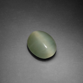 2.37克拉天然绿色Actinolite Cat's Eye，椭圆形切割，9.9×8毫米，透明