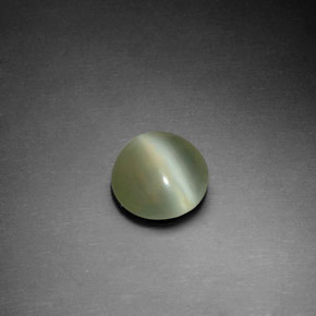 1.22克拉天然绿色Actinolite Cat's Eye，圆形切割，7.60毫米，透明