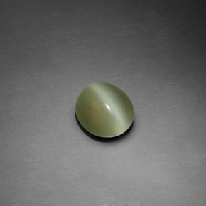1.25克拉天然绿色Actinolite Cat's Eye，椭圆形切割，7.5×6.7毫米，透明