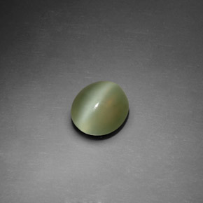 1.25克拉天然绿色Actinolite Cat's Eye，椭圆形切割，7.5×6.7毫米，透明