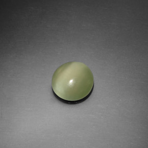 1.10克拉天然绿色Actinolite Cat's Eye，圆形切割，7.45毫米，透明