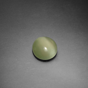 1.10克拉天然绿色Actinolite Cat's Eye，圆形切割，7.45毫米，透明