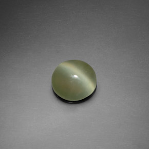 1.39克拉天然绿色Actinolite Cat's Eye，圆形切割，7.54毫米，透明