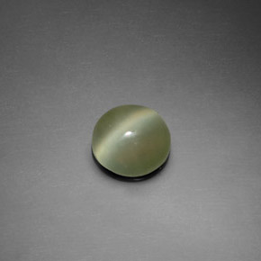 1.39克拉天然绿色Actinolite Cat's Eye，圆形切割，7.54毫米，透明