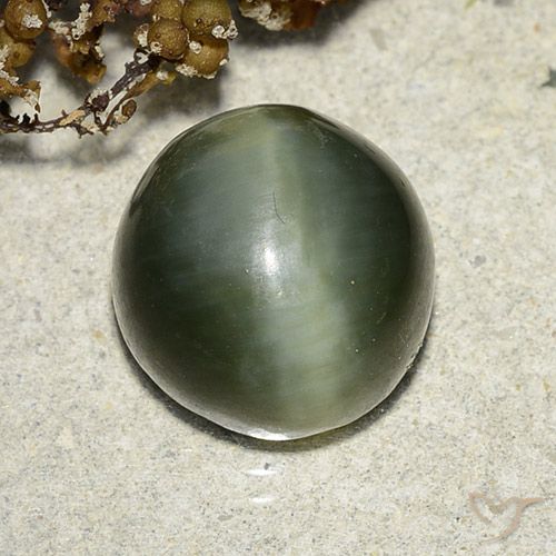 7.39ct 天然 大地绿 阳起石猫眼, 圆形的, 半透明