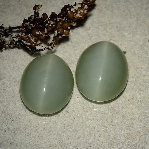 10.64天然绿色Actinolite Cat's Eye，椭圆形切割，13.3×10.8毫米，半透明