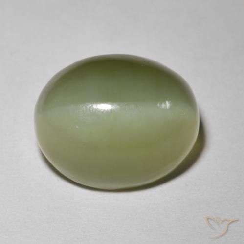 5.80ct 天然 大地绿 阳起石猫眼, 椭圆形, 半透明