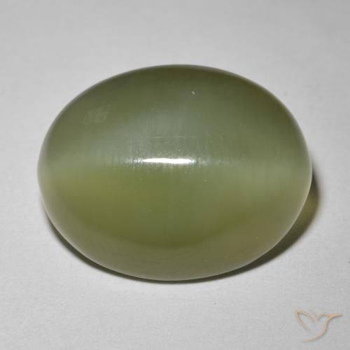 8.12克拉天然阳起石猫眼，椭圆形，半透明