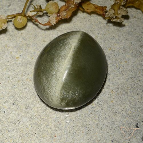 4.60ct 天然 棕绿色 阳起石猫眼, 椭圆形, 不透明