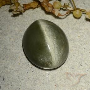4.60克拉天然阳起石猫眼，椭圆形，不透明
