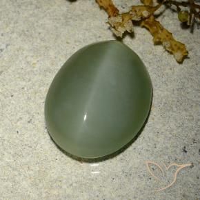 6.77克拉天然阳起石猫眼，椭圆形，半透明