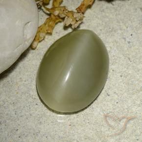 5.88克拉天然阳起石猫眼，椭圆形，半透明