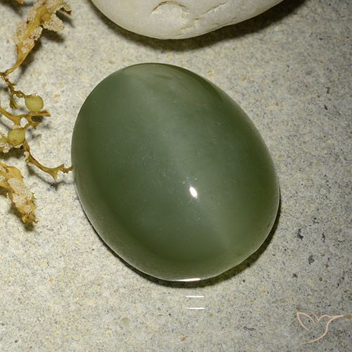12.38ct 天然 军绿色 阳起石猫眼, 椭圆形, 半透明