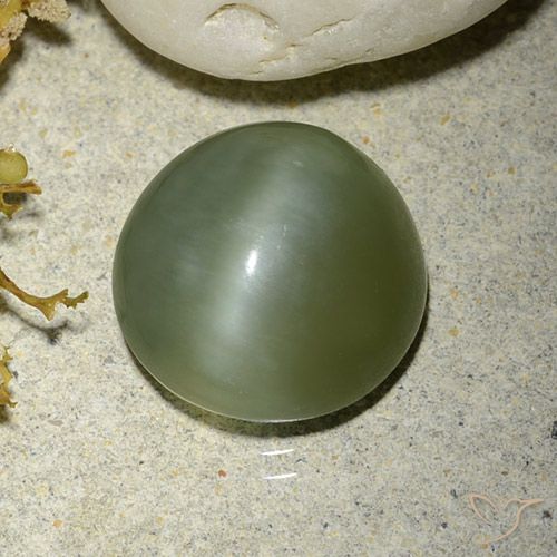5.56ct 天然 暖绿 阳起石猫眼, 圆形的, 半透明