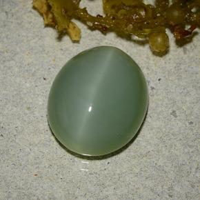 6.19克拉天然绿色阳起石猫眼，椭圆形切割，13.3×11.1毫米，半透明