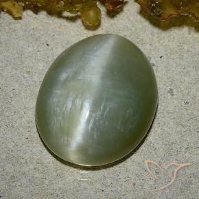 8.60克拉天然阳起石猫眼，椭圆形，半透明
