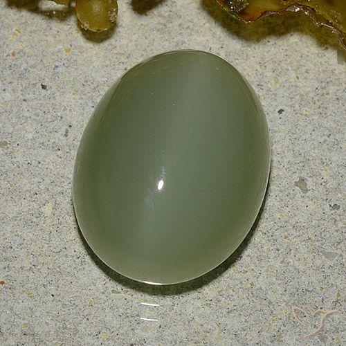 6.92ct 天然 军绿色 阳起石猫眼, 椭圆形, 半透明