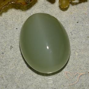 6.92克拉天然阳起石猫眼，椭圆形，半透明