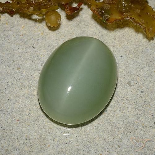 6.46ct 天然 大地绿 阳起石猫眼, 椭圆形, 半透明