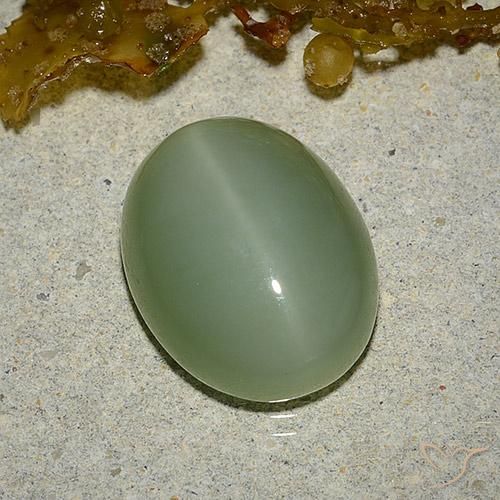 6.46克拉天然阳起石猫眼，椭圆形，半透明