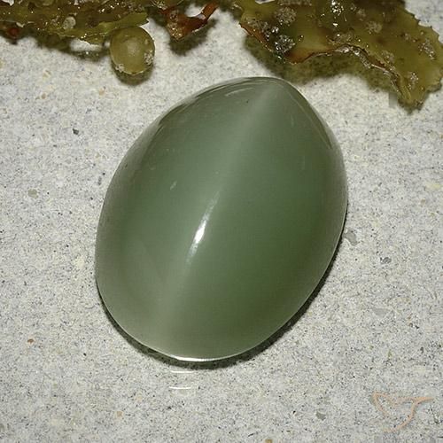 8.04克拉天然绿色Actinolite Cat's Eye，椭圆形切割，16×12毫米，半透明