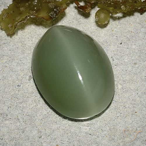 8.04克拉天然绿色Actinolite Cat's Eye，椭圆形切割，16×12毫米，半透明