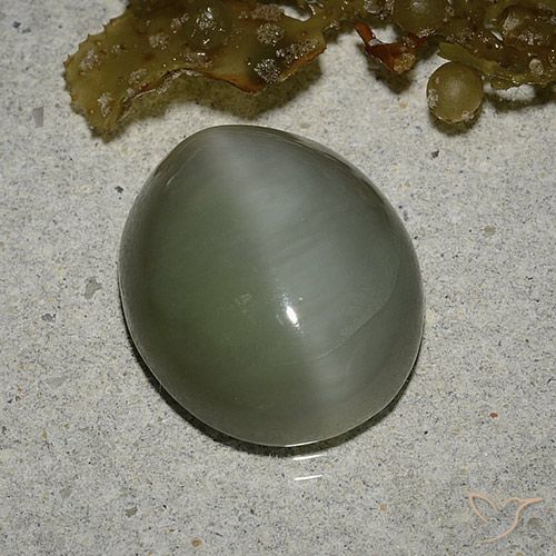6.78ct 天然 中绿色 阳起石猫眼, 椭圆形, 半透明